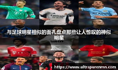 BB贝博登录入口