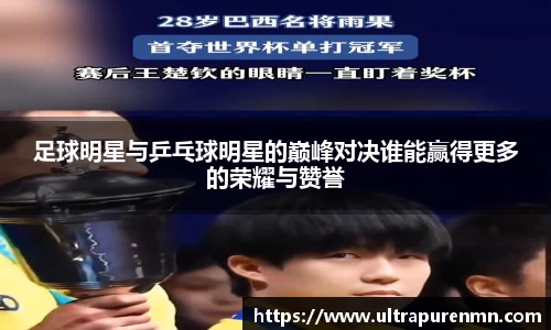 BB贝博登录入口